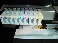 Pro 3800 bulk ink system for printer