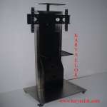 Standing LCD TV Vicon