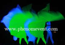 Fluro Dance