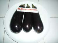 fresh eggplant