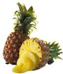 Ananas comosus