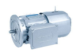 BS Series Worm Geared Motors