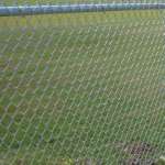 Chain Link Fence