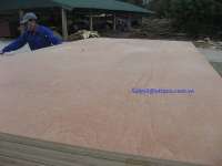 Keruing Plywood