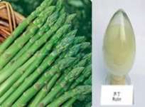 High purity Asparagus Rutin - No dextrin or any other materials added