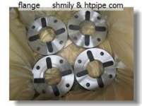 duplex stainless S32760 F55 WN SO BL flange