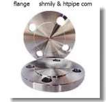 duplex F51 flange