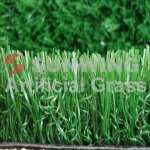 Artificial Grass / Turf