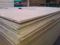 plywood/ multiplex/ begesting cor