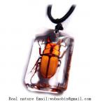 real insect amber necklace