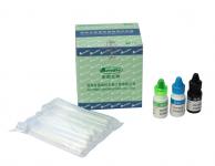 HCG kits, tumor marker kits, HCG kits