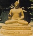 Budha Lotus