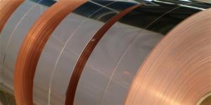 c51900 phosphor bronze strip, cusn6 strip, cusn6 alloy, alloys cusn6, alloy cusn6, strip cusn6, strips cusn6, cusn6 strips, cusn6 alloys, c51900 phosphor copper strip, c51900  bronze phosphor strip, C51900 strip, C51900 alloy, alloys C51900, strips C51900, alloy C51900