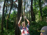 Flying Fox4