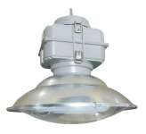 electrodeless induction factory lamp