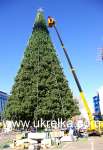 Giant Artificial Christmas Trees from 3m up to 22m Model ELITE Natural