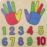 Puzzle hands & numbers