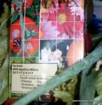 Pupuk ( 20 Pack) Gramafix&Acirc;&reg; Sayuran Daun [ Leafy Fertilizer]