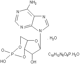 Adenosine 3', 5'-cyclophosphate