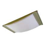 electrodeless induction ceiling lamp