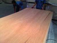 BB/ CC JPIC Plywood