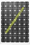 Solar Panel 100W 24V