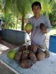 Coconut Trading and Development