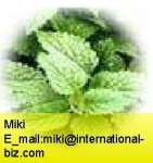 lemon balm extract