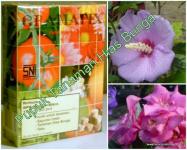 Pupuk Gramafix&Acirc;&reg; Tanaman Hias [ Ornamental Flower]