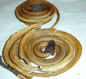 Daging Cobra fresh and Dried