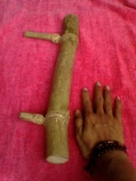 ( Terjual ) Bambu Buta Cabang 2 ( kode barang: 0363 )