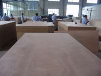 selling container flooring plywood