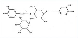 Verbascoside  (huping@nutra-max.com)