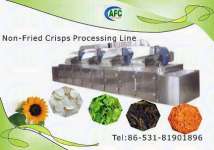 Nature Fruit Crisps ( Non-Fried) Processing Line
