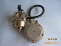 Natural gas generator gas device assembly