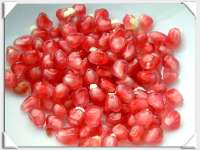 Pomegranate Seed P.E