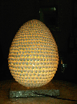 Sea shell Lamp Decoration