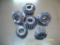 Bevel Gear