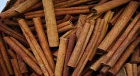 Kayu Manis / Cinnamon