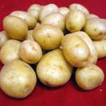 fresh potatoes ready for exportation.