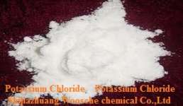 Potassium Hydroxide