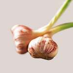 Allicin/ Garlic extract