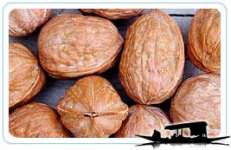 Whole walnut