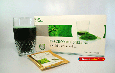 Chlorophyll Spirulina