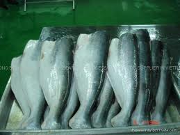 PANGASIUS HGT/ WHOLE ROUND WITH CHEAP PRICE FROM SOBICO