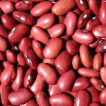 Red Kidney Bean