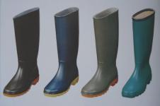 Wellington Boots