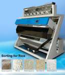 Rice color sorter for rice mill