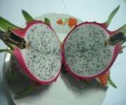 Vietnam dragon fruit