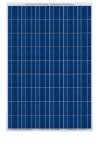 Solar Module( 200 watt)